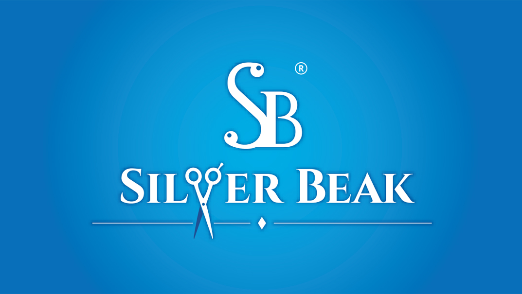 Логотип «Silver Beak»