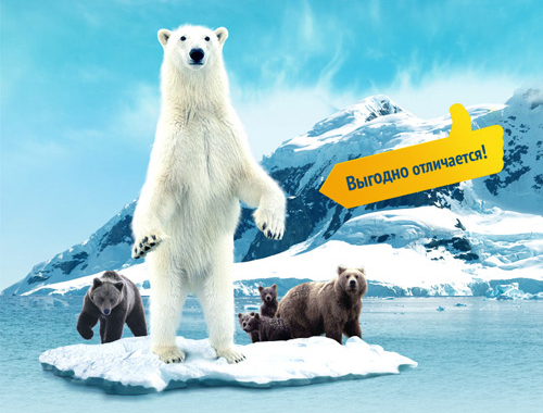 Landing Page дезинфектанта «Кемицид»