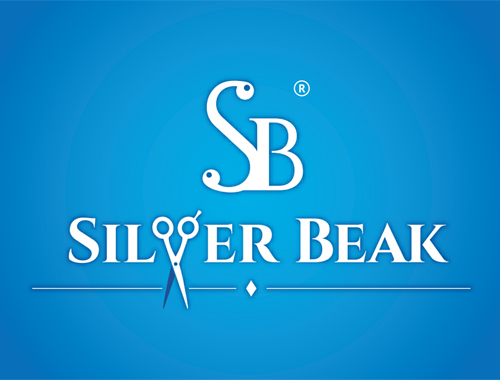 Логотип «Silver Beak»